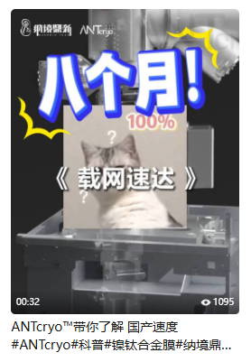 国产现货 / 进口等 8 月