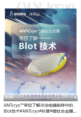 Blot 技术