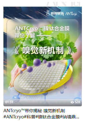 嗅觉新机制
